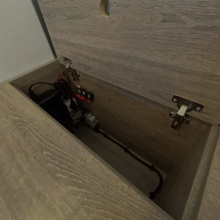 Lisa panipaig pingis